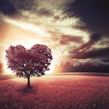 Incontri Single d'Élite a Milano : Sicurezza e Qualità con Completiamoci Italia - Incontri sicuri per trovare il partner ideale - Privacy